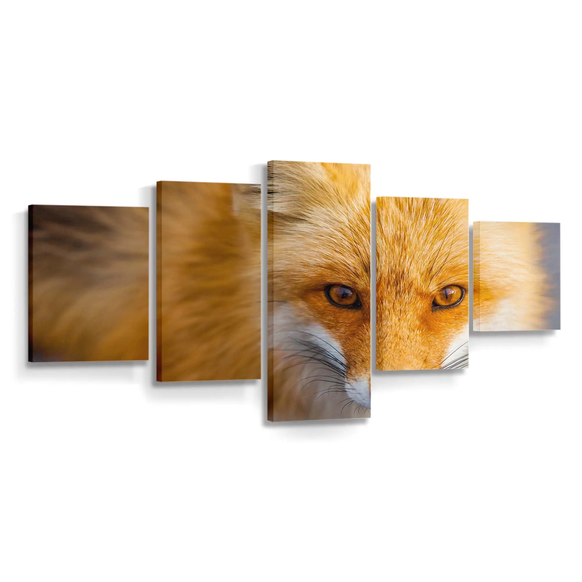 Rotfuchs in Nahaufnahme – Fuchs Leinwandbild