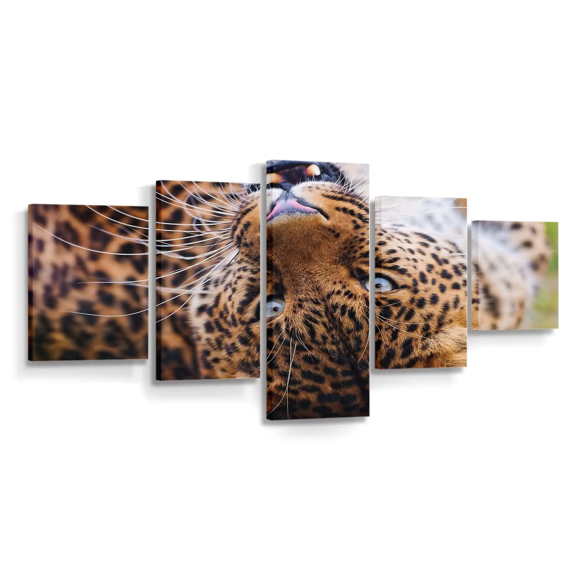 Ruhende Grokatzen im Dschungel – Wildtier Wandbild