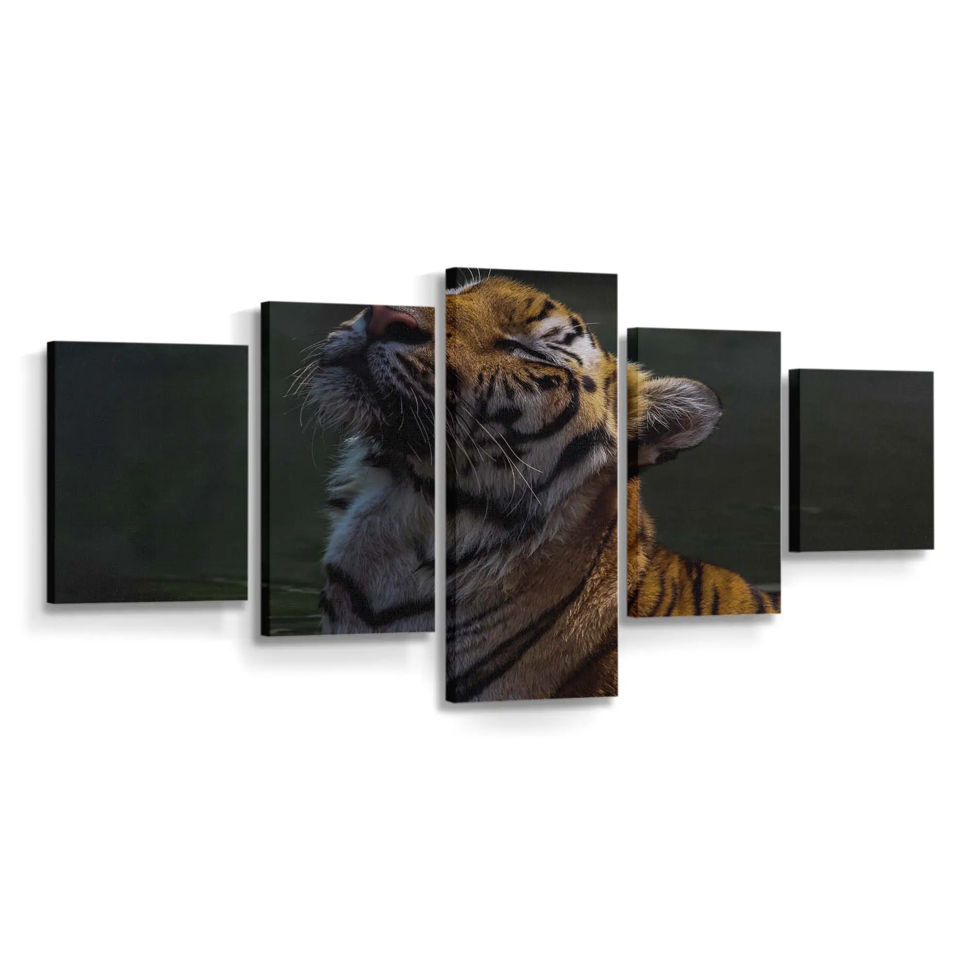 Ruhender Tiger im Dschungel – Tiger Leinwandbild