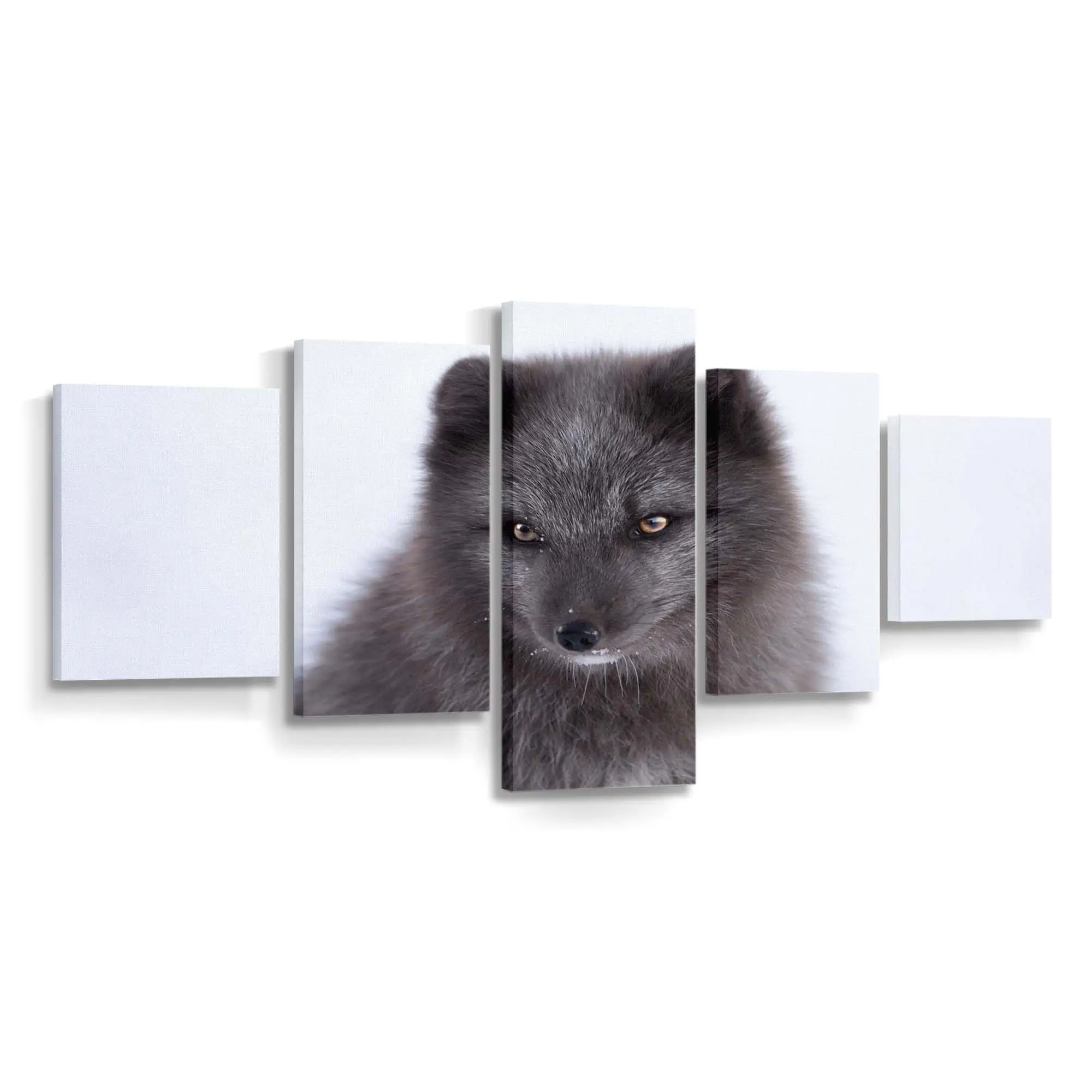 Schwarzer Polarfuchs im Schnee – Fuchs Leinwandbild