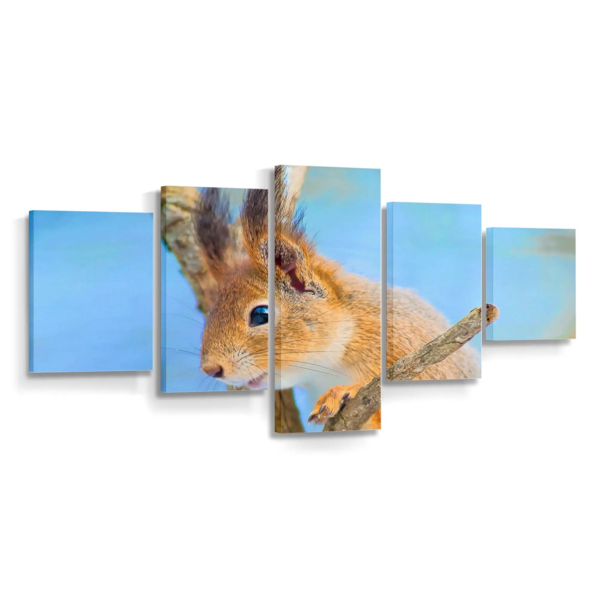 Süßes Tierporträt – Wildtier Wandbild
