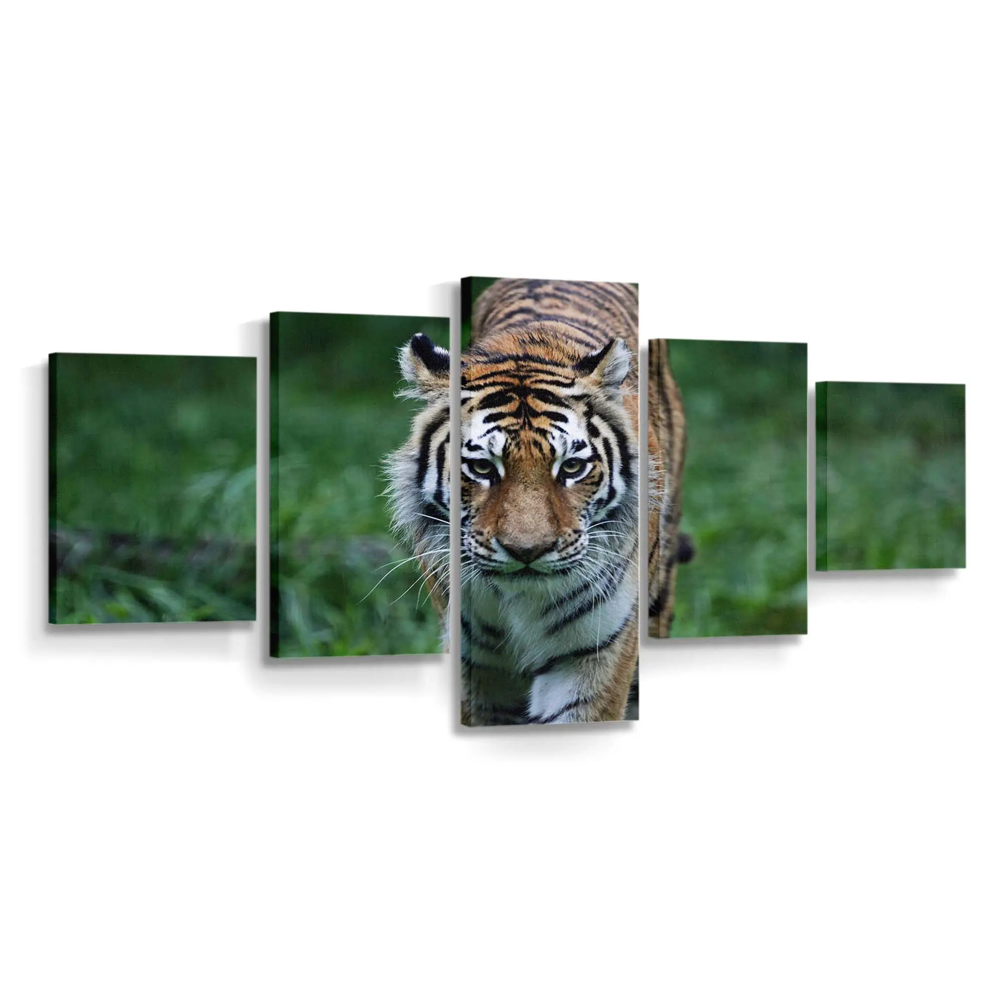 Tiger auf der Jagd im Wald – Tiger Leinwandbild