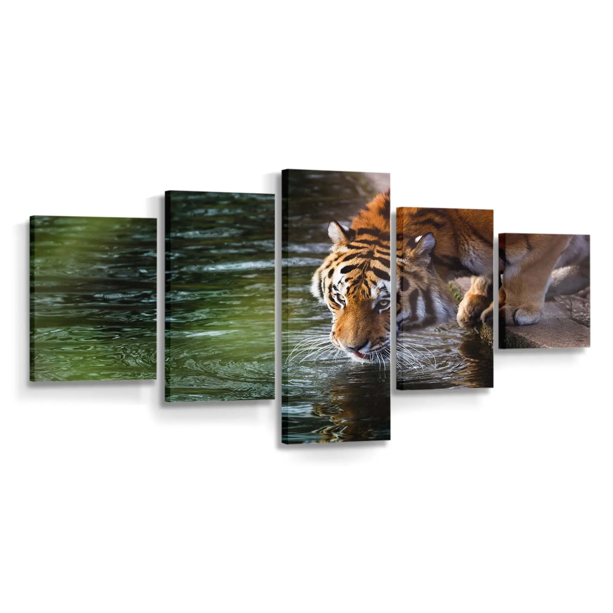 Tiger trinkt am Fluss – Tiger Leinwandbild