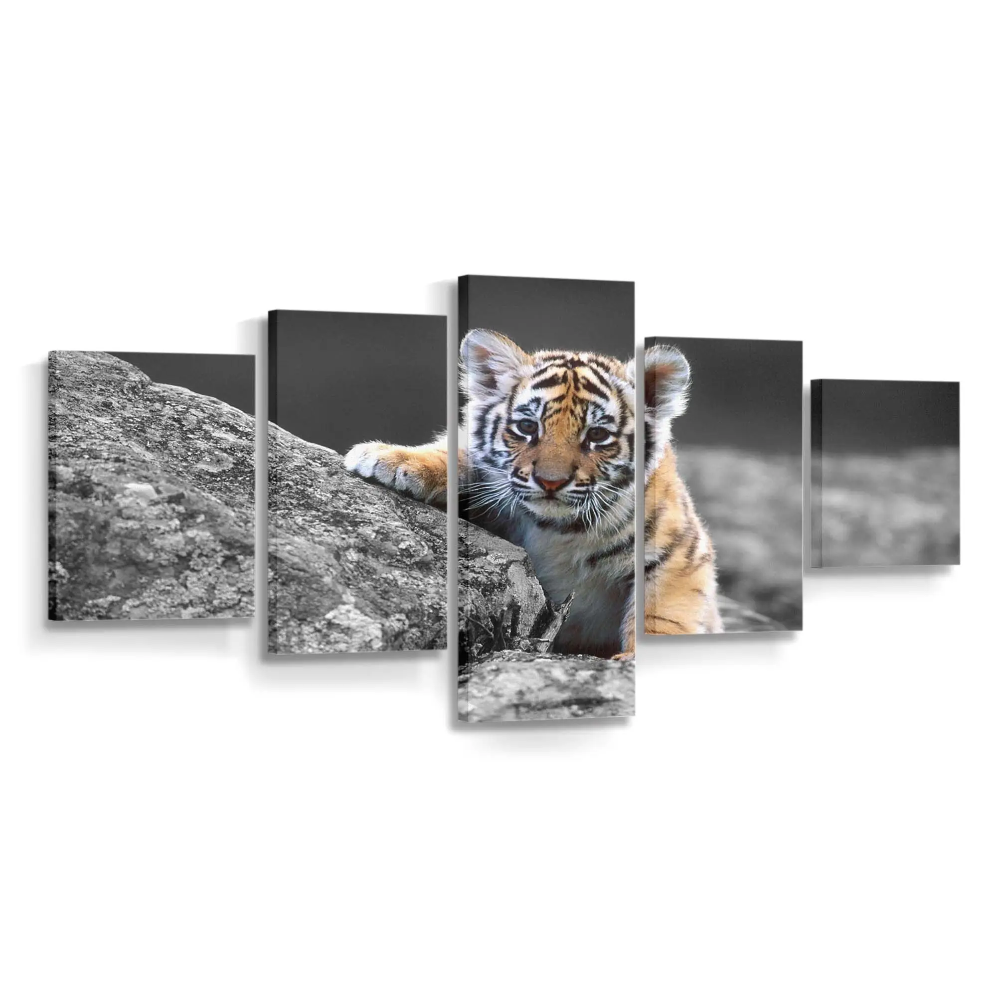 Tigerjunges im Gras – Tiger Leinwandbild
