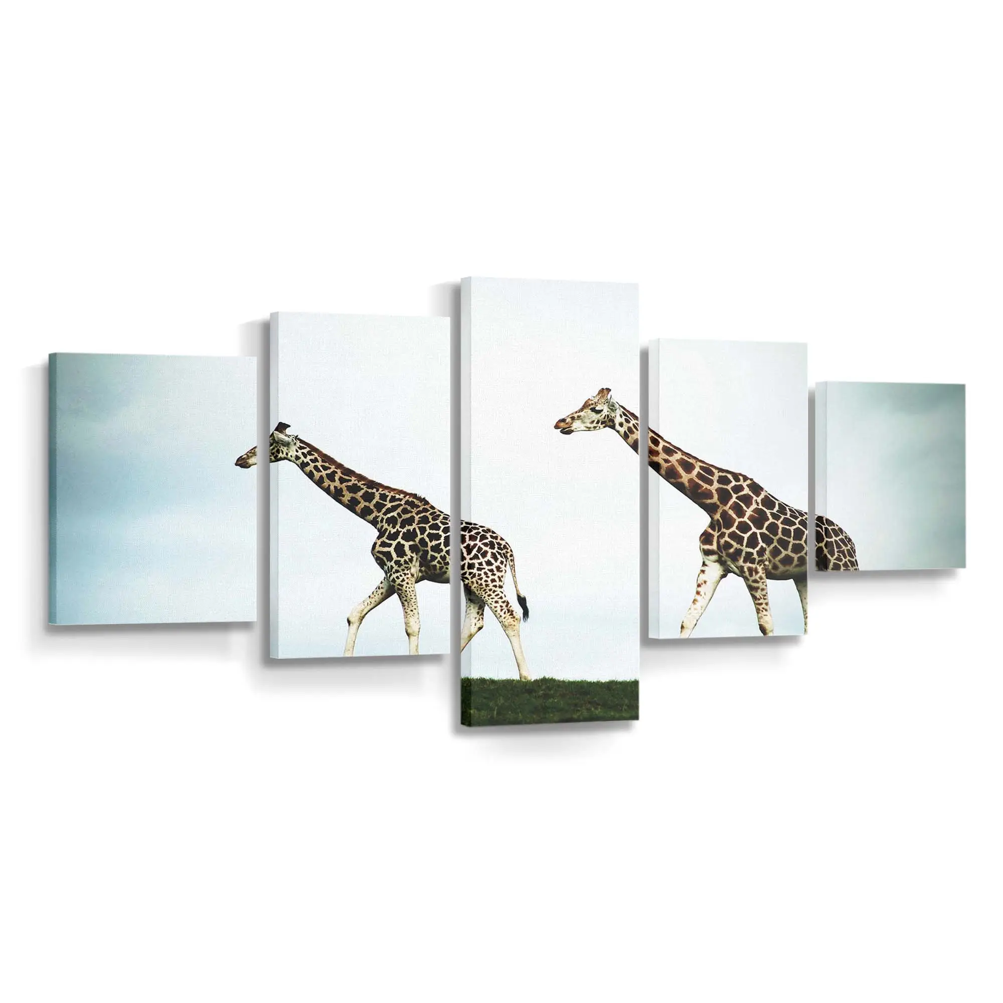 Zwei Giraffen in der Savanne – Giraffen Leinwandbild
