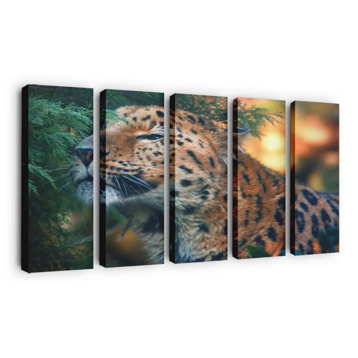 Amur-leopardenjunges auf einem Ast – Leopard Leinwandbild