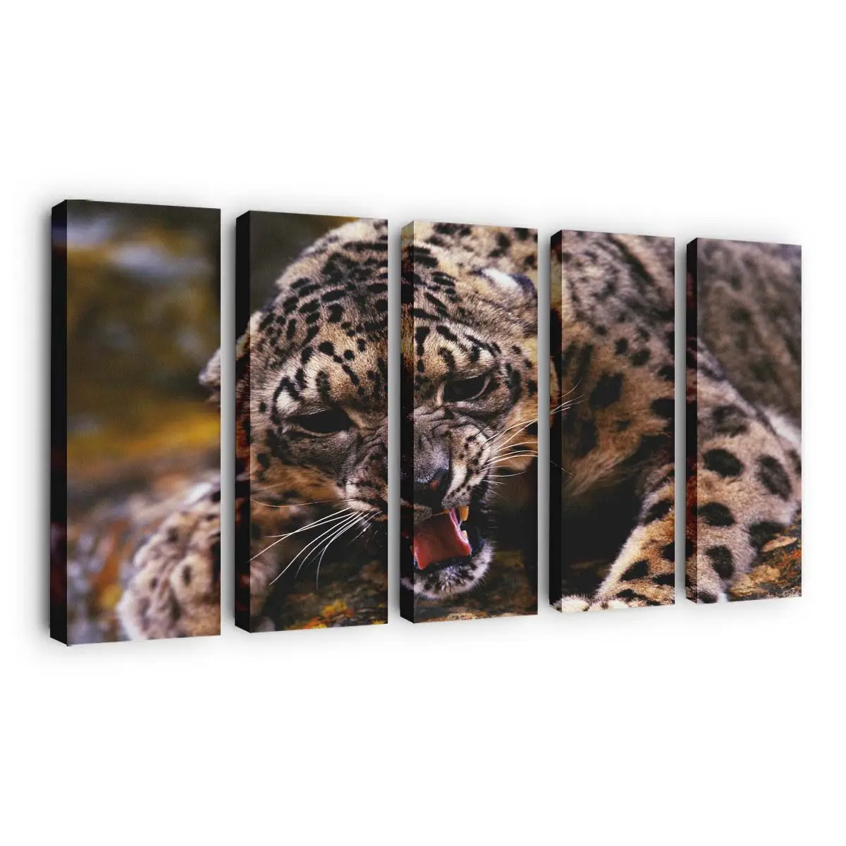 Brllender Gepard in der Savanne – Gepard Leinwandbild