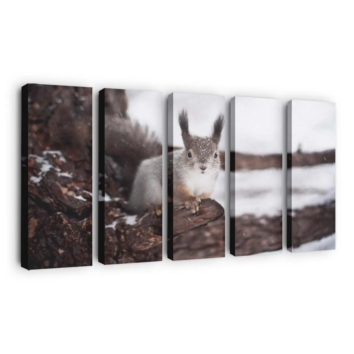 Eichhörnchen im Winterschnee – Eichhörnchen Leinwandbild