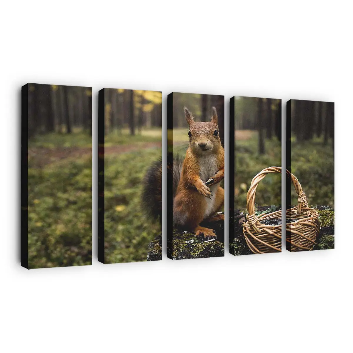 Eichhörnchen mit Eicheln – Eichhörnchen Leinwandbild