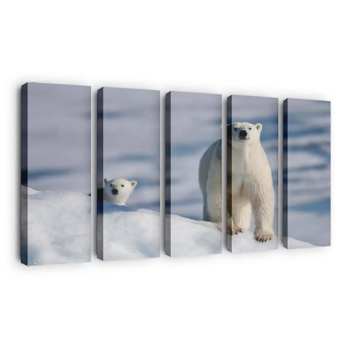 Eisbärenmutter mit Jungem in der Arktis – Eisbär Leinwandbild