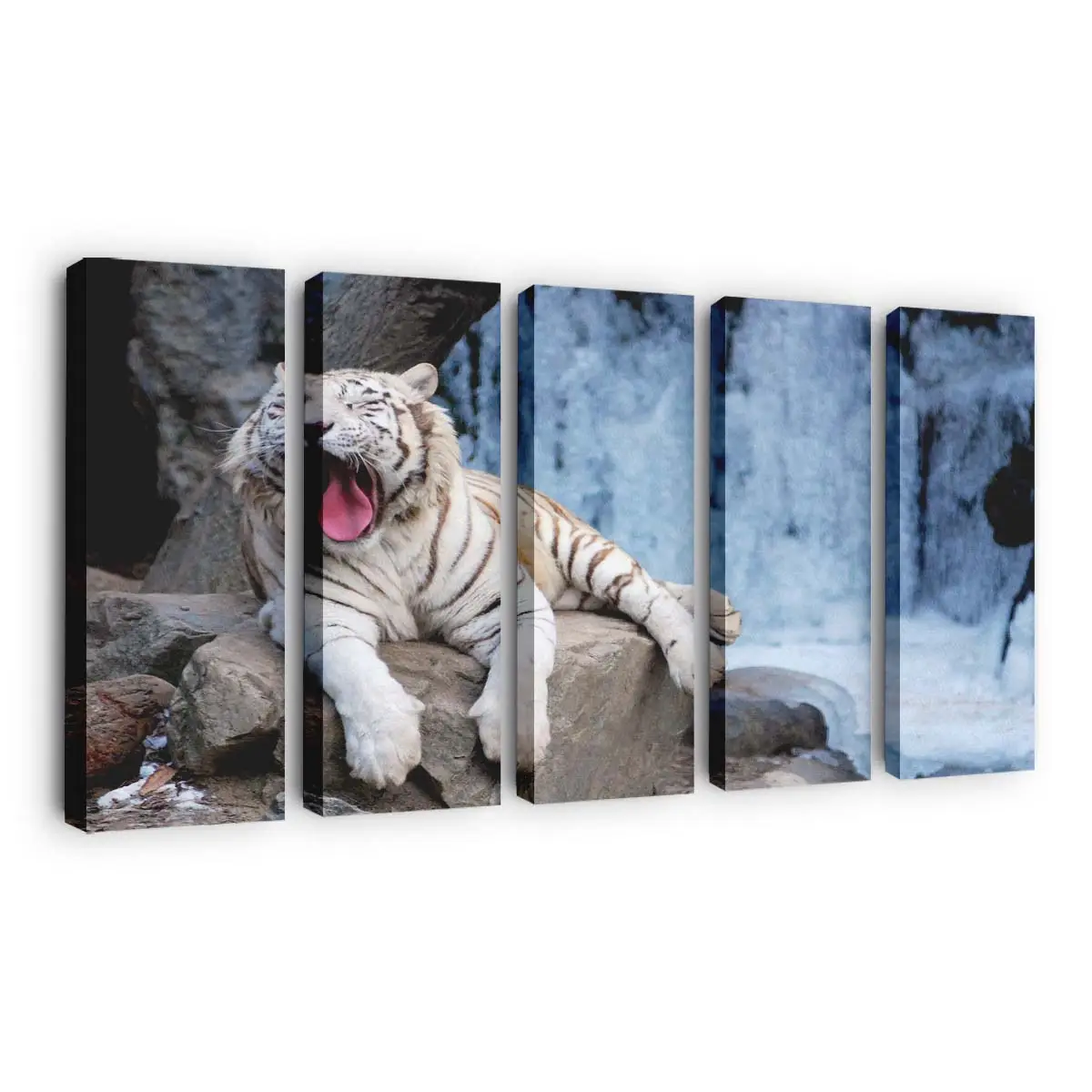 Gähnender Tiger in Nahaufnahme – Tiger Leinwandbild
