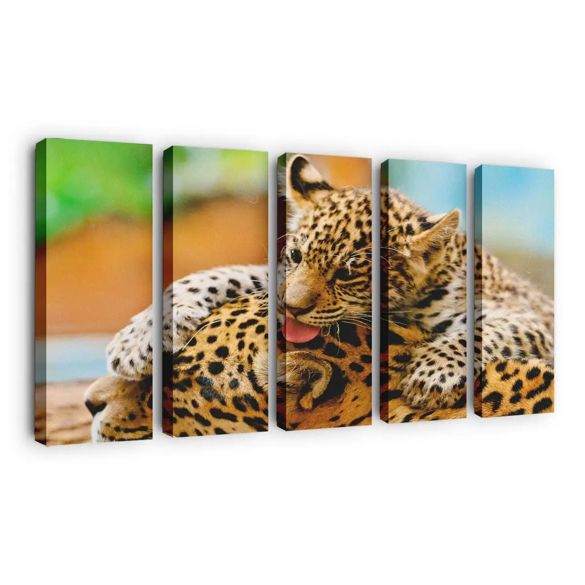 Jaguarjunges und Mutter ruhen – Jaguar Leinwandbild
