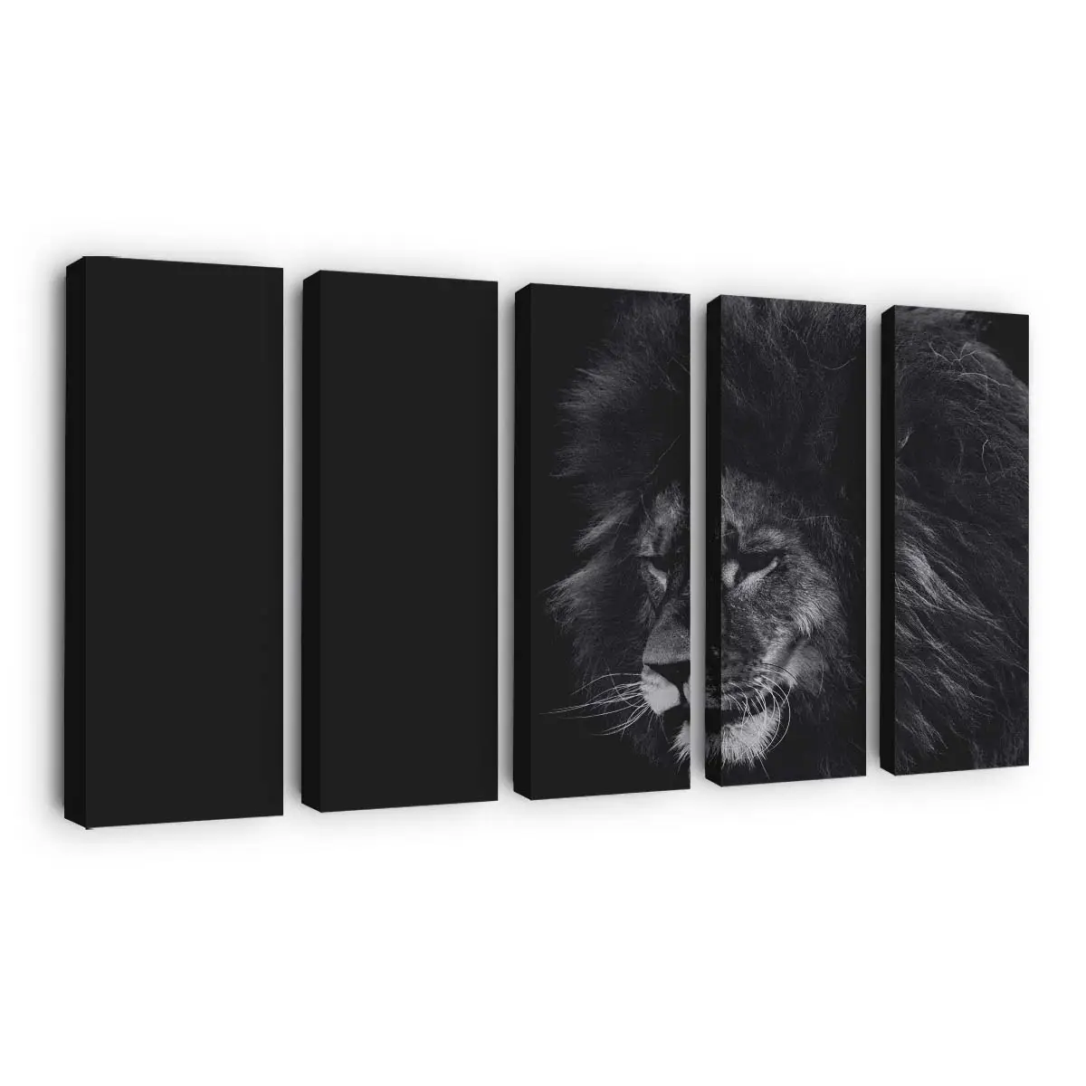 Löwe in Schwarz-Weiß – Löwen Leinwandbild