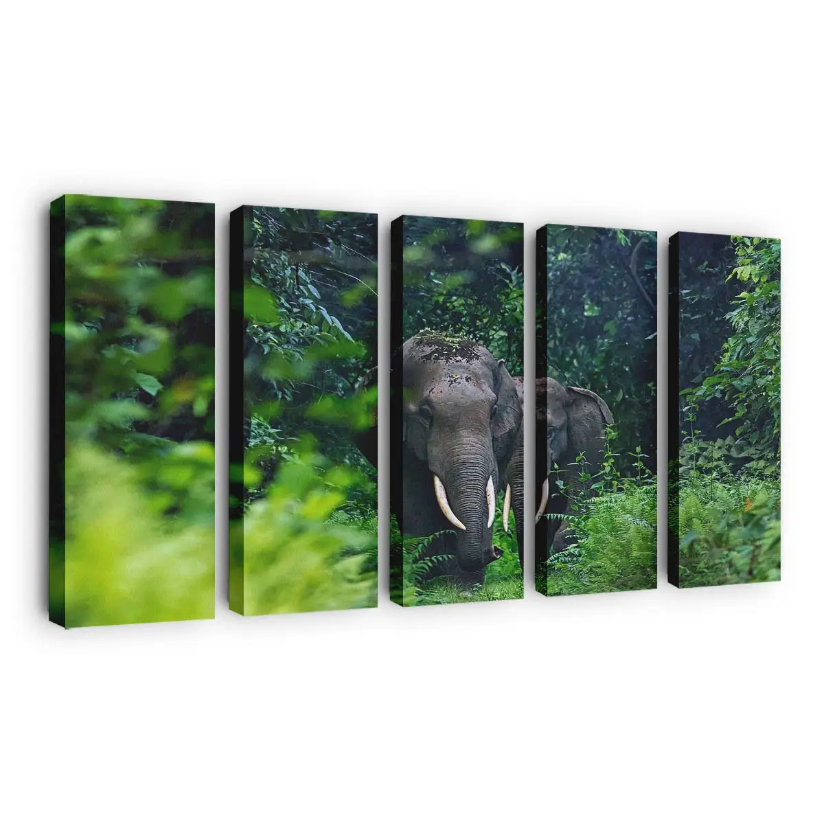 Natur- und Wildtierlandschaft – Wildtier Leinwandbild