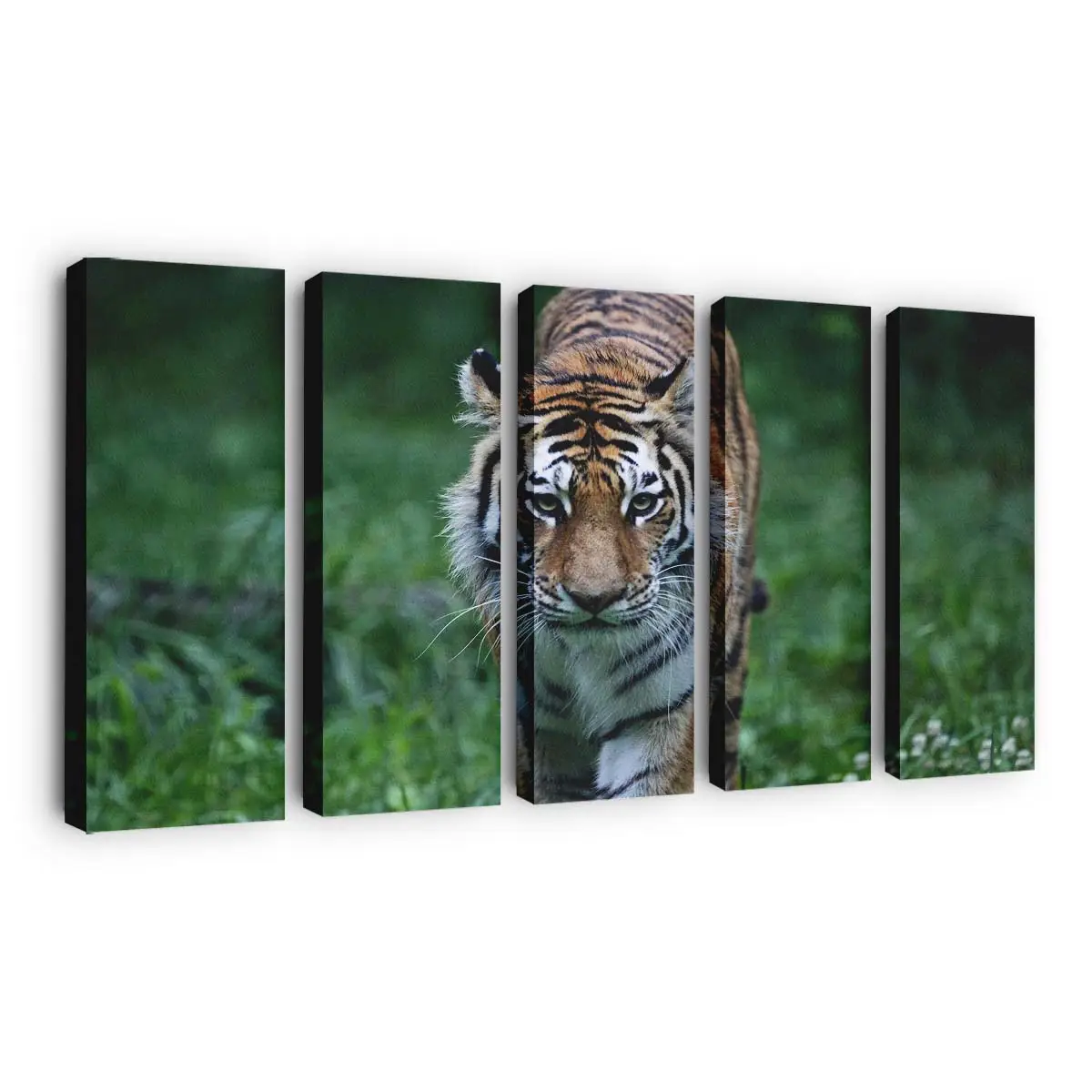 Tiger auf der Jagd im Wald – Tiger Leinwandbild