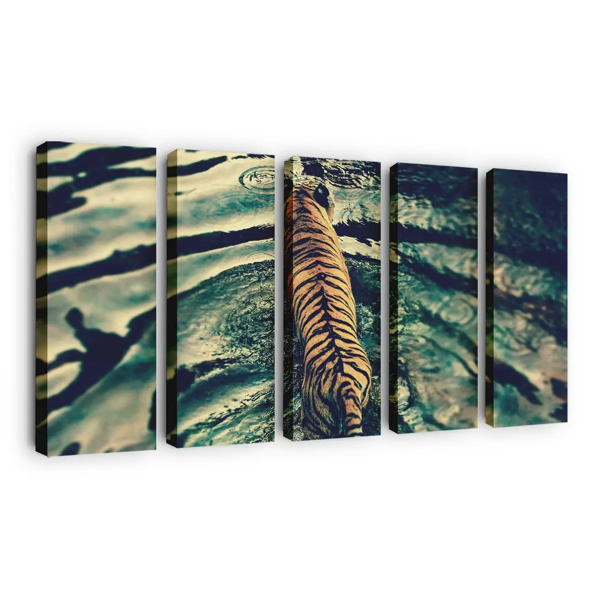Tiger schwimmt im Fluss – Tiger Leinwandbild