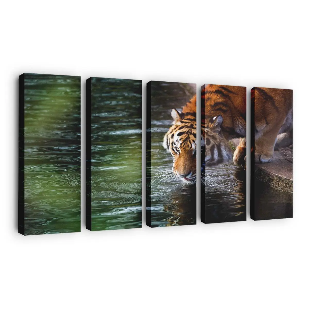 Tiger trinkt am Fluss – Tiger Leinwandbild