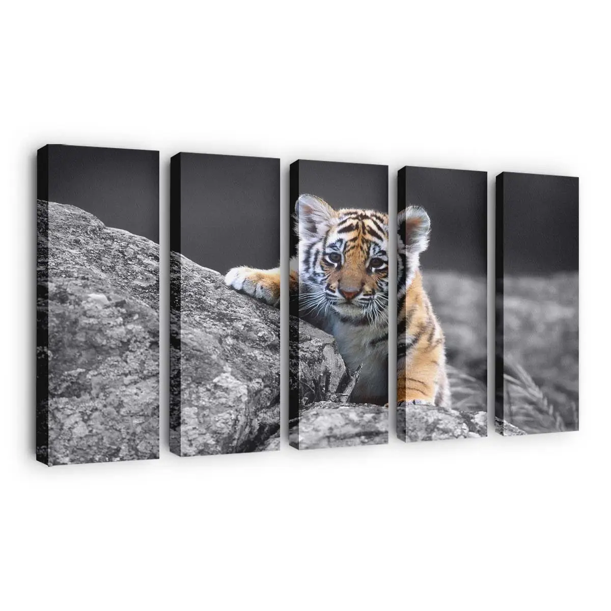Tigerjunges im Gras – Tiger Leinwandbild