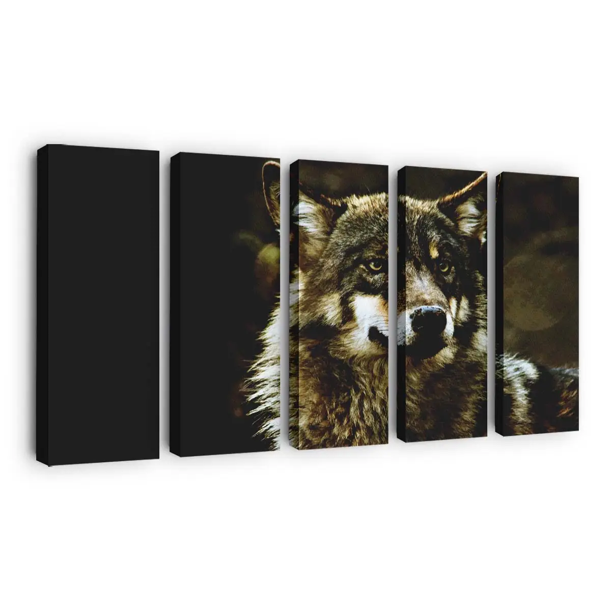 Wolf in Nahaufnahme – Wolf Leinwandbild